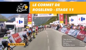 Cormet de Roselend - Étape 11 / Stage 11 - Tour de France 2018