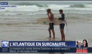 À Hossegor, l’Atlantique est aussi chaud que la Méditerranée