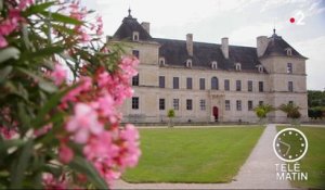 Histoire Histoires - Visite guidée du château d’Ancy le Franc