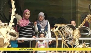 Des animaux disparus se trouvent au musée zoologique du Caire [No Comment]