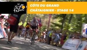 Côte du Grand Châtaignier - Étape 14 / Stage 14 - Tour de France 2018