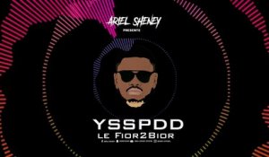 Ariel Sheney - YSSPDD ( Audio officiel )