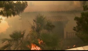 Grèce : feu de forêt à l'ouest d'Athènes