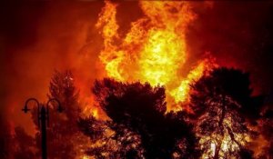 Incendies en Grèce : l'appel émouvant de Nikos Aliagas