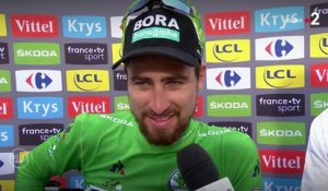 Tour de France 2018 : Peter Sagan "J'ai eu de la chance de continuer la course"