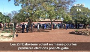 Forte participation au Zimbabwe pour les élections
