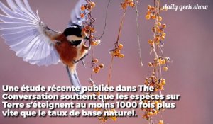 L’extinction des espèces est un processus naturel... Sauf qu'aujourd'hui il va 1 000 fois trop vite