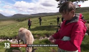 Écosse : à la découverte du parc de Cairngorms