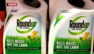Procès Roundup : le glyphosate est «sûr et non cancérogène» selon Bayer