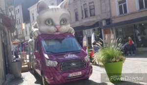 La Catmobile de Gaia est à Arlon