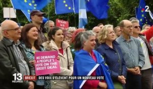 Brexit : des voix s'élèvent pour un nouveau vote