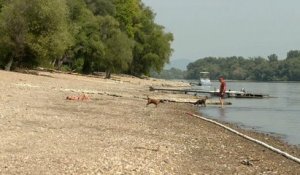 La canicule assèche le Danube