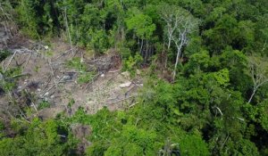 Amazonie : des images filmées par un drone révèlent l'existence d'une tribu isolée