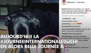 PHOTOS. Laura Smet, Mariah Carey, Christophe Beaugrand, Alice Belaïdi... les stars célèbrent la journée mondiale du chien