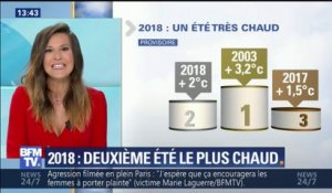 L’été 2018 est le deuxième plus chaud de l’histoire en France