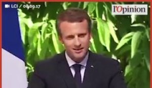 Du «costard» au  «gaulois réfractaires», retour sur certaines expressions douteuses de Macron