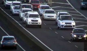Ces automobilistes laissent passer une famille de canard sur l’autoroute