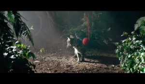 Shadow of the Cute Raider : le trailer de Shadow of the Tomb Raider recréé avec des chats et des chiens