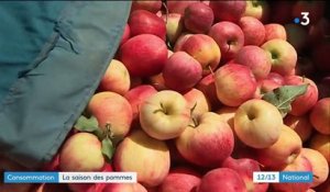 Consommation : une saison des pommes prometteuse