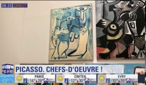 Les chefs-d'œuvre du musée Picasso