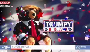 Trumpy Bear, l'ours en peluche à l'effigie de Donald Trump qui fait le buzz (vidéo)