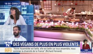 Des vegans de plus en plus violents