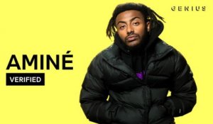 Aminé "DR. WHOEVER" Official Lyrics & Meaning | Verified