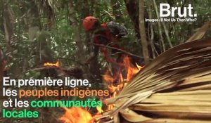 Climat : des milliers d’hectares de forêts menacés par les flammes en Amérique latine