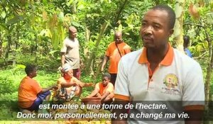 La Côte d'Ivoire se convertit au commerce équitable de cacao