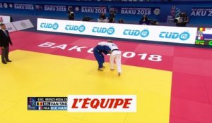 Buchard en bronze - Judo - ChM