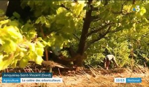 Agriculture : la colère des arboriculteurs monte