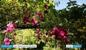 Jardins d'été : les trésors du Val de Loire