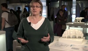 Présentation par Carole Roudeix de l'exposition "Froid"