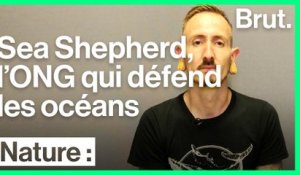 Sea Shepherd : "On pratique de la non-violence agressive"