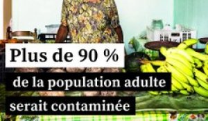 En Martinique, le chlordécone un “scandale environnemental”