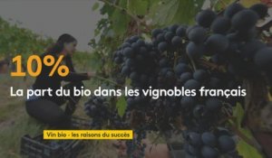 Florent Guhl (Agence bio): "L’an dernier, la consommation de vin bio a augmenté de 21% !"
