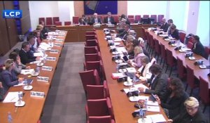 Bioéthique : débat tendu entre pro et anti-PMA pour toutes les femmes