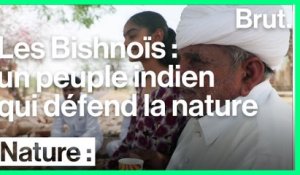 Rajasthan : les Bishnoïs protègent la nature depuis des siècles