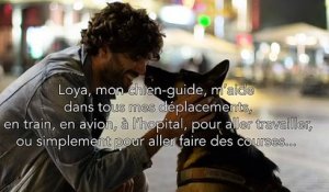 Un malvoyant et son chien-guide virés d'un Monoprix à Marseille.