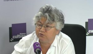 Dominique Meda : "Il y a un problème structurel du PS"