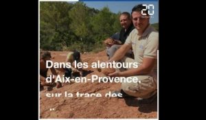 Aix-en-Provence: Sur la trace des dinosaures