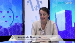 Stratégie d'entreprise et géopolitique [Stéphanie Dameron]