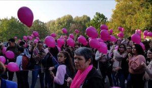 Les lycéens de Briey lâchent des centaines ballons pour Octobre Rose