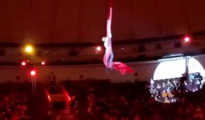 Une jeune femme chute d'un show aérien dans un cirque