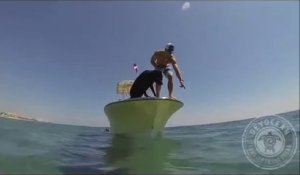 Il a dressé son chien pour aller pecher le homard au fond de la mer... Incroyable