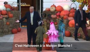 Distribution de bonbons pour Trump et Melania pour Halloween