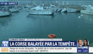 Des bateaux se sont décrochés dans le port d'Ajaccio à cause des vents violents