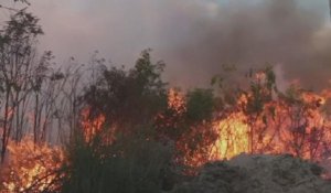 En Afrique du Sud, des feux de brousse font plusieurs morts