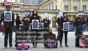 Action des vegans à Paris à l'occasion de la journée mondiale du veganisme