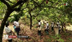 Sao Tomé-et-Principe : l’île chocolat
